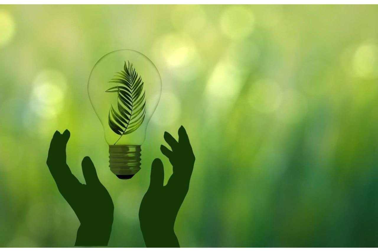 02 La transizione ecologica nel mondo